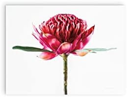 Waratah Flower Wood Plaque 12x16 Wall Decor