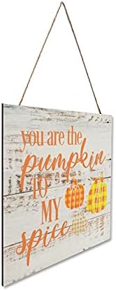 You Are The Pumpkin to My Spice Plaque Sign 12x12