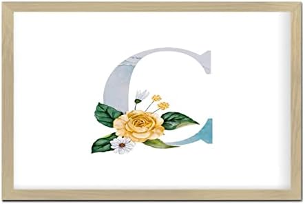 Blue Monogram Initial Letter C Framed Wall Art Sign 1