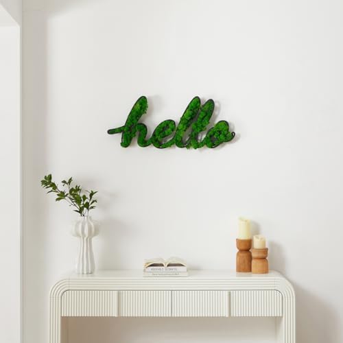 ETICIAN Moss Letter Signs Wall Art Decor