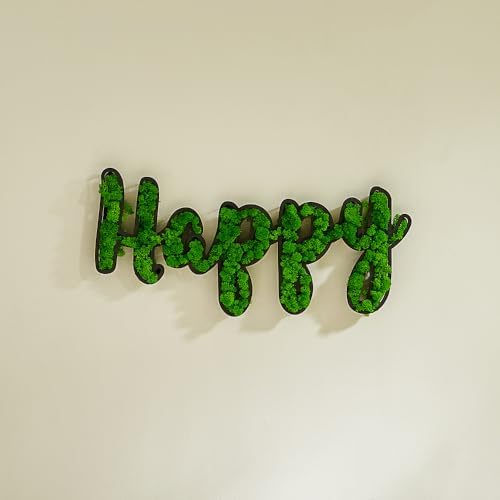 ETICIAN Moss Letter Signs Wall Art Decor HAPPY Sign