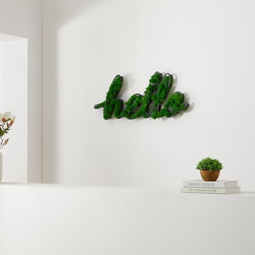 ETICIAN Moss Letter Signs Wall Art Decor