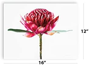 Waratah Flower Wood Plaque 12x16 Wall Decor