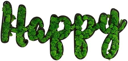 ETICIAN Moss Letter Signs Wall Art Decor HAPPY Sign