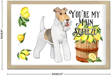 Youre My Main Squeeze Wooden Wall Sign 8x12in