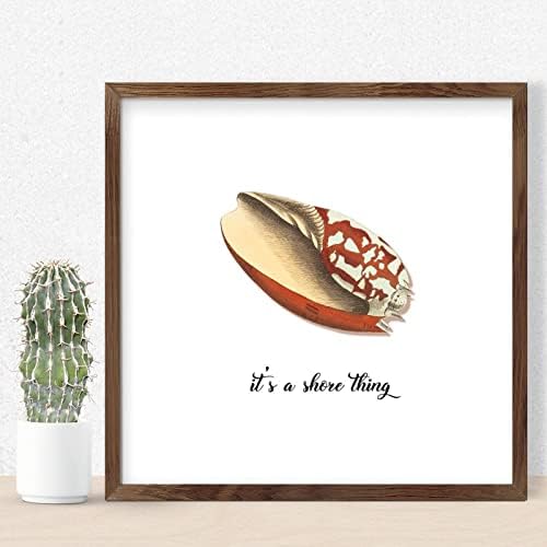 Rustic Wood Sea Snail Wall Sign 12x12in