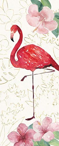 Shabby-Chic Tropical Fun Bird VI VII Framed Prints