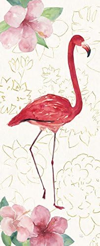 Shabby-Chic Tropical Fun Bird VI VII Framed Prints