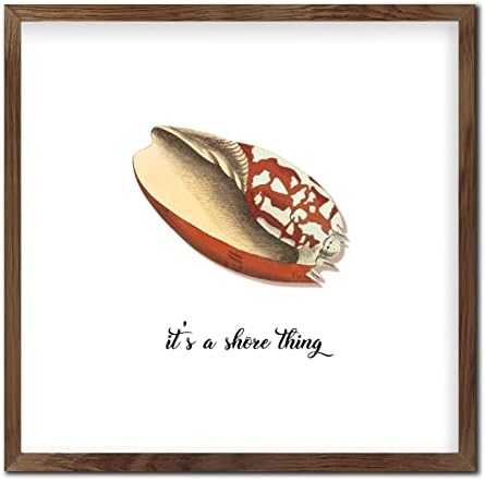 Rustic Wood Sea Snail Wall Sign 12x12in