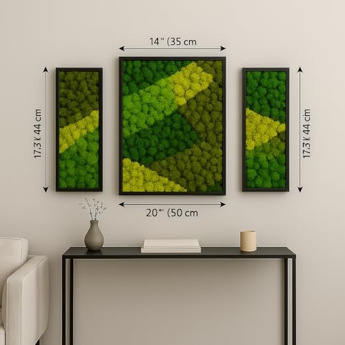 Lagom Green Wall Art Moss Set of 3 Black Frame