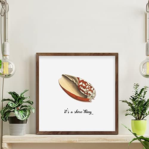 Rustic Wood Sea Snail Wall Sign 12x12in