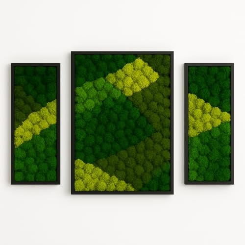 Lagom Green Wall Art Moss Set of 3 Black Frame