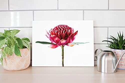 Waratah Flower Wood Plaque 12x16 Wall Decor