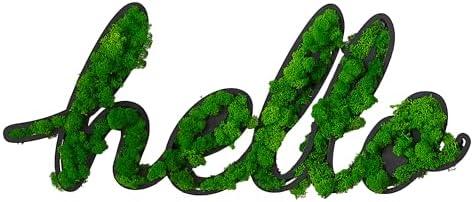 ETICIAN Moss Letter Signs Wall Art Decor