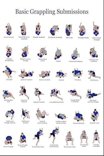 HTVDSAFV Basic Grappling Submissions Instructional Poster