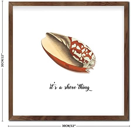 Rustic Wood Sea Snail Wall Sign 12x12in