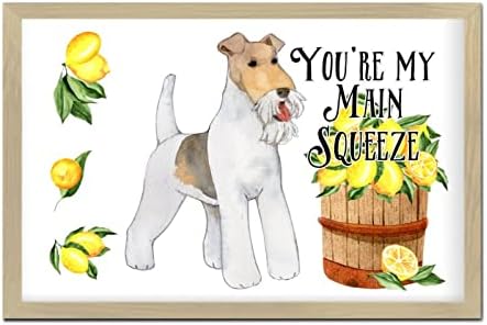 Youre My Main Squeeze Wooden Wall Sign 8x12in