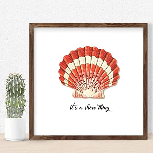 Its A Shore Thing Sea Snail Wood Sign Framed 12x12in