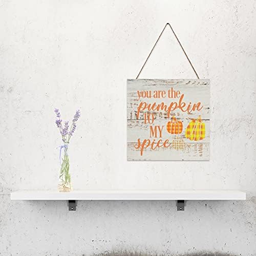 You Are The Pumpkin to My Spice Plaque Sign 12x12
