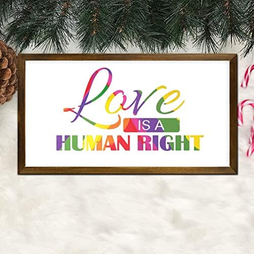 LGBT Pride Framed Wood Wall Sign Love is a Human Right
