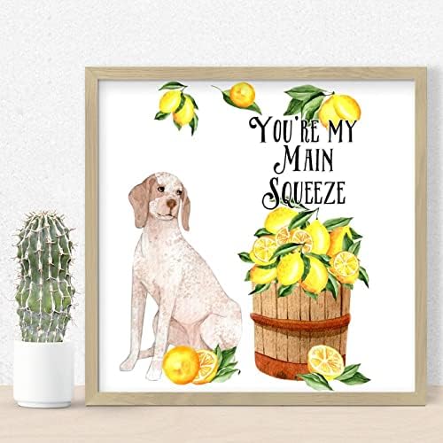 Youre My Main Squeeze Wall Sign Yellow Lemon Dog