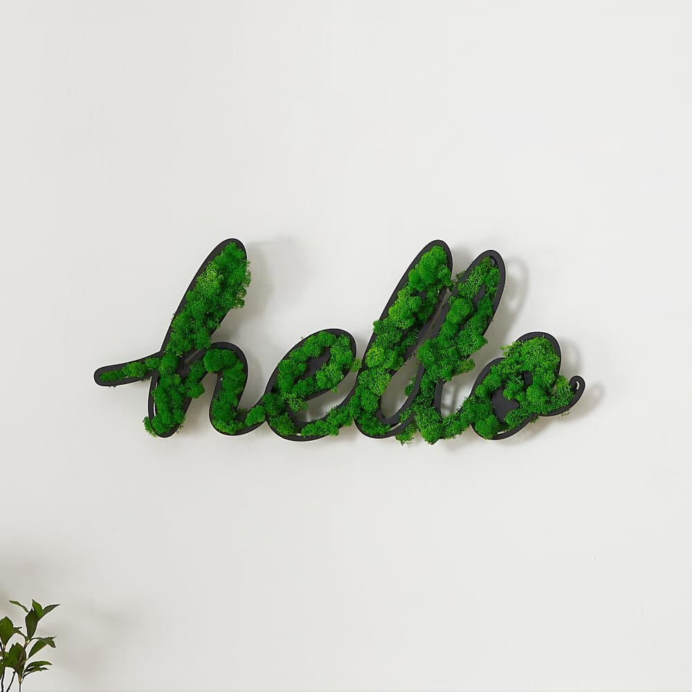 ETICIAN Moss Letter Signs Wall Art Decor