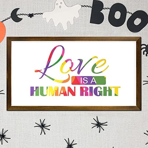 LGBT Pride Framed Wood Wall Sign Love is a Human Right