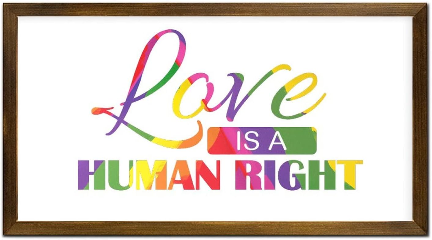 LGBT Pride Framed Wood Wall Sign Love is a Human Right