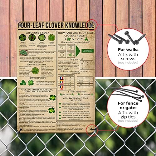 Four Leaf Clover Knowledge Metal Wall Sign 16x12 Inches
