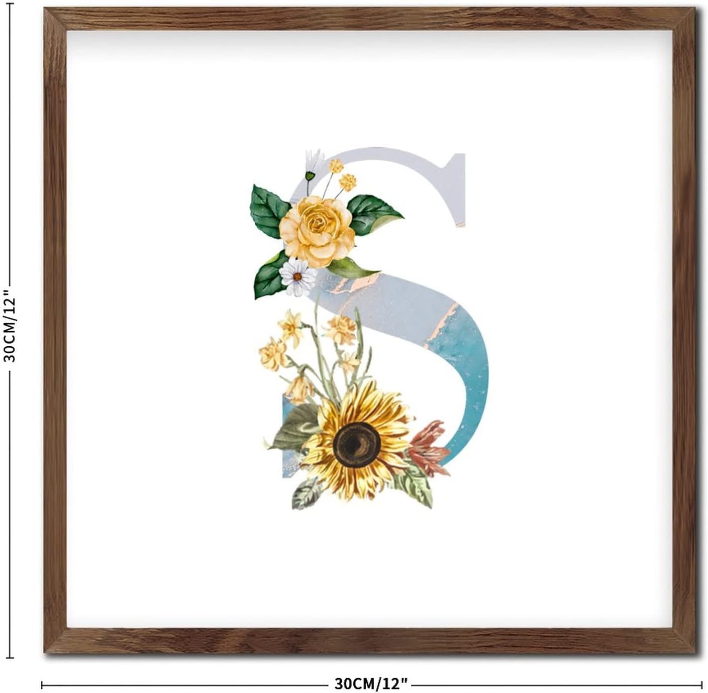 Blue Monogram Initial Letter S Framed Wall Art Sign