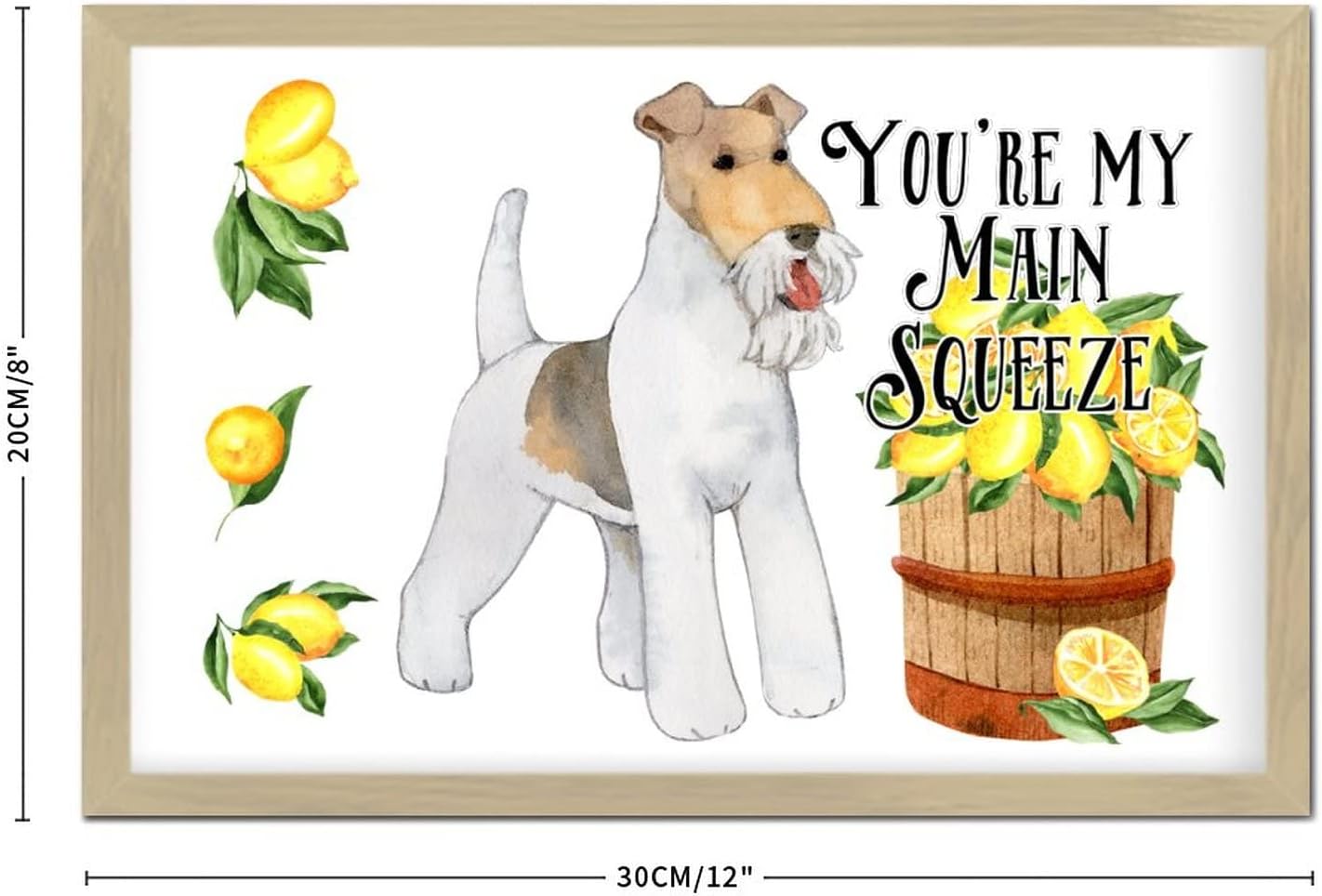 Youre My Main Squeeze Wooden Wall Sign 8x12in