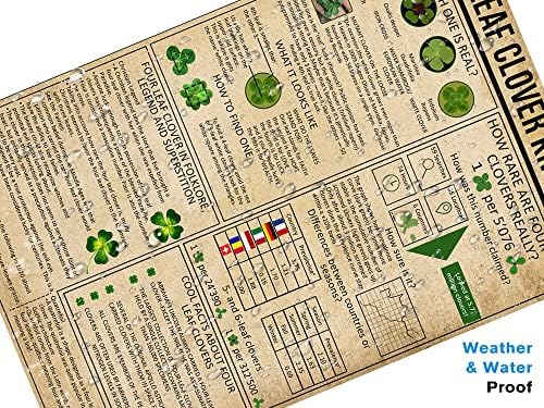 Four Leaf Clover Knowledge Metal Wall Sign 16x12 Inches