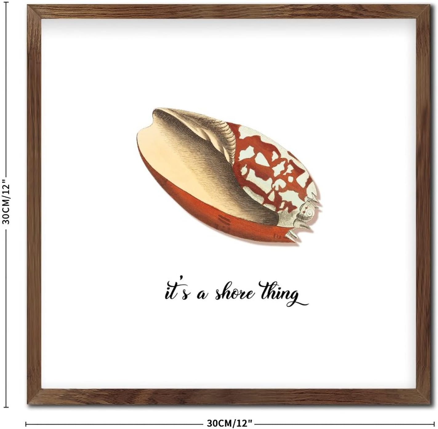 Rustic Wood Sea Snail Wall Sign 12x12in