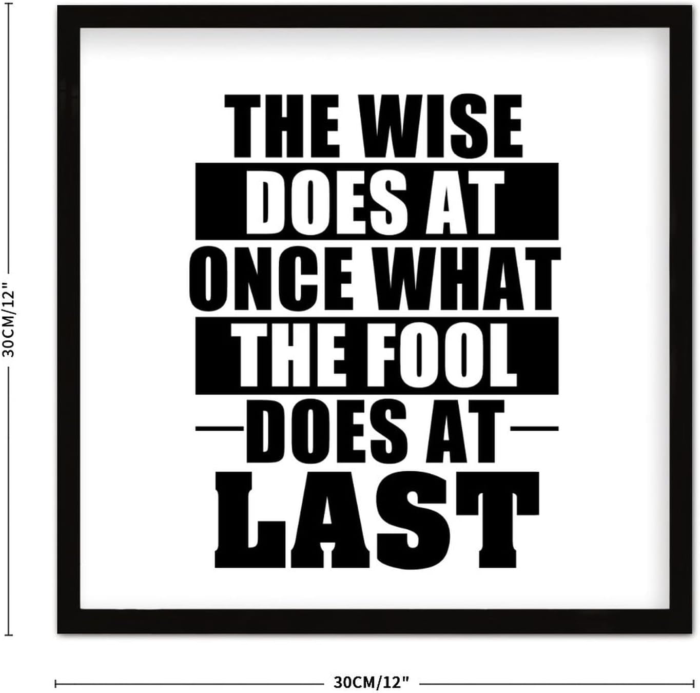 Wise Does at Once What Fool Does at Last Wooden Plaque