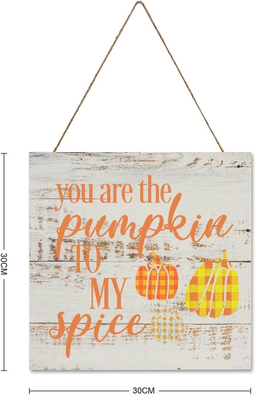 You Are The Pumpkin to My Spice Plaque Sign 12x12