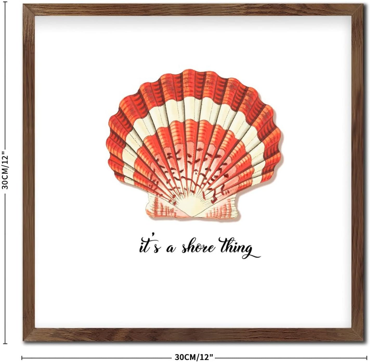 Its A Shore Thing Sea Snail Wood Sign Framed 12x12in