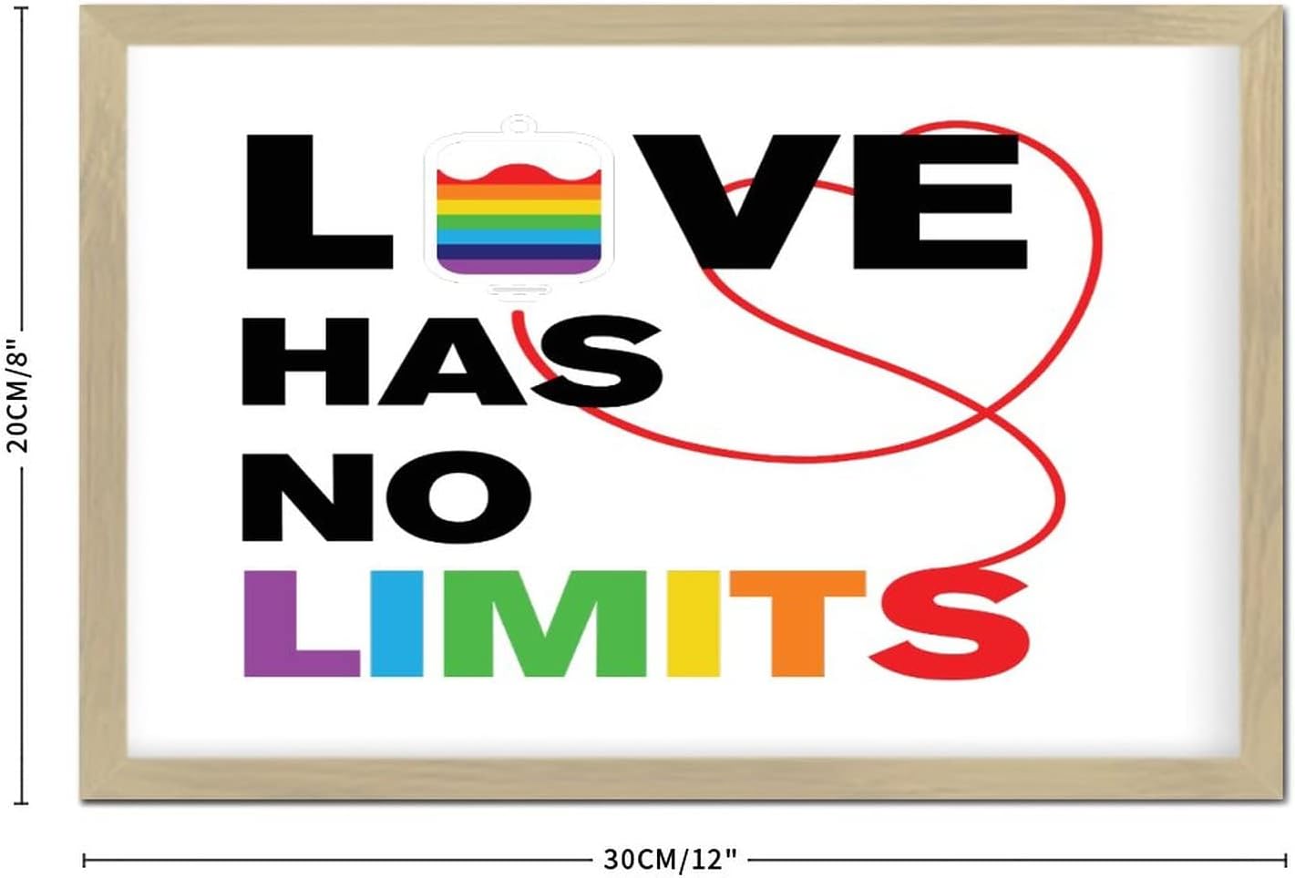 Love Has No Limits Wooden Wall Decor Sign 8x12in