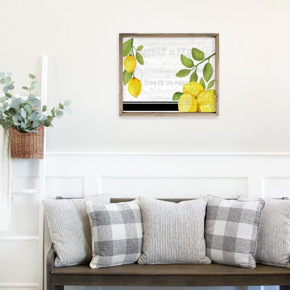 Fresh Lemons Wood Wall Decor Sign Frame 12x15