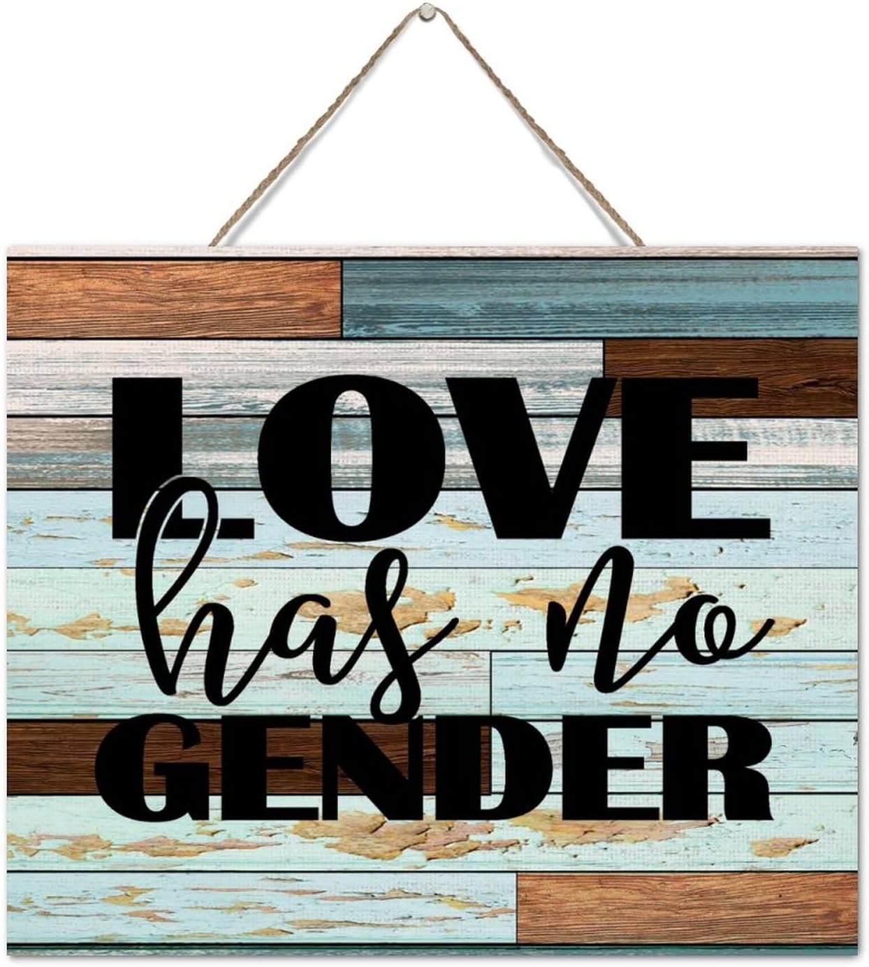 Love Has No Gender Wall Art 10x12 Inch Wood Plaque
