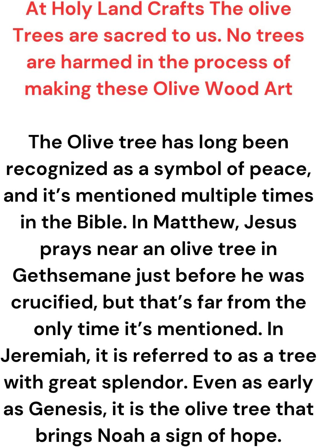 9 Inch Handmade Olive Wood Wall Cross with Relics