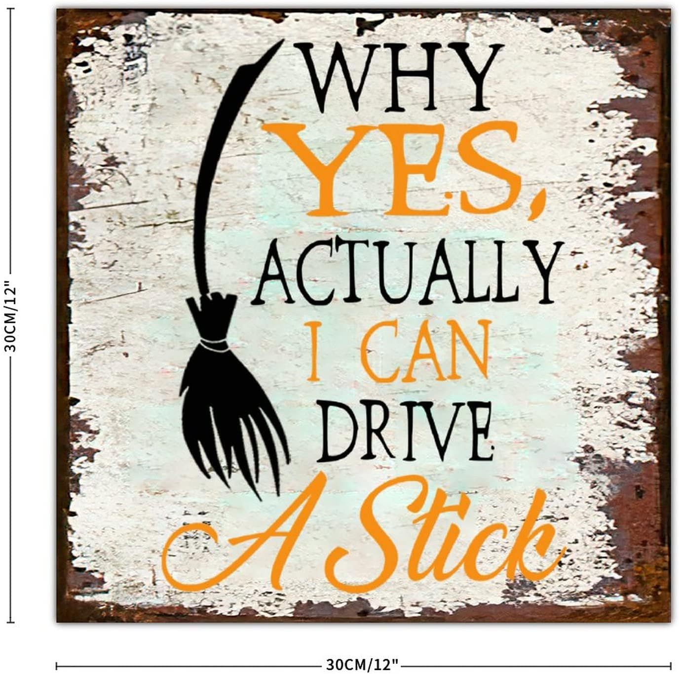Why Yes Actually I Can Drive A Stick Halloween Tin Sign