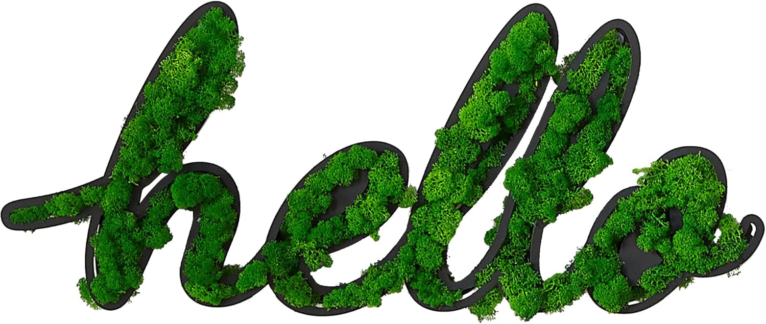 ETICIAN Moss Letter Signs Wall Art Decor