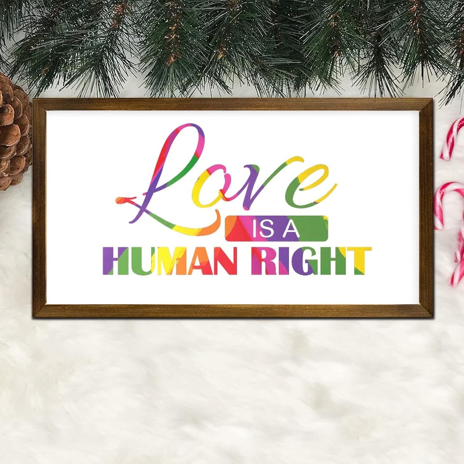 LGBT Pride Framed Wood Wall Sign Love is a Human Right