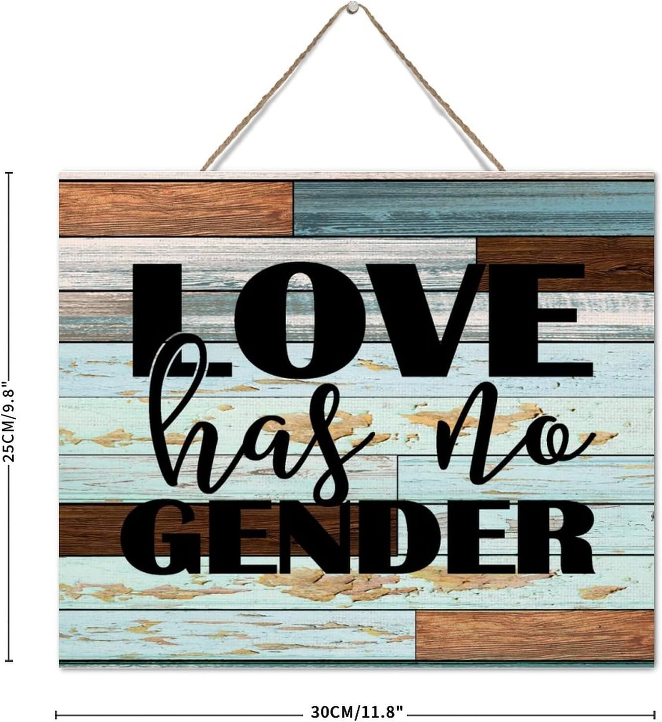 Love Has No Gender Wall Art 10x12 Inch Wood Plaque