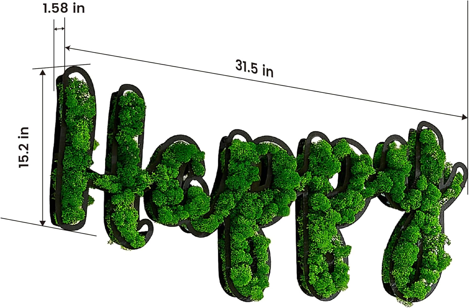ETICIAN Moss Letter Signs Wall Art Decor HAPPY Sign