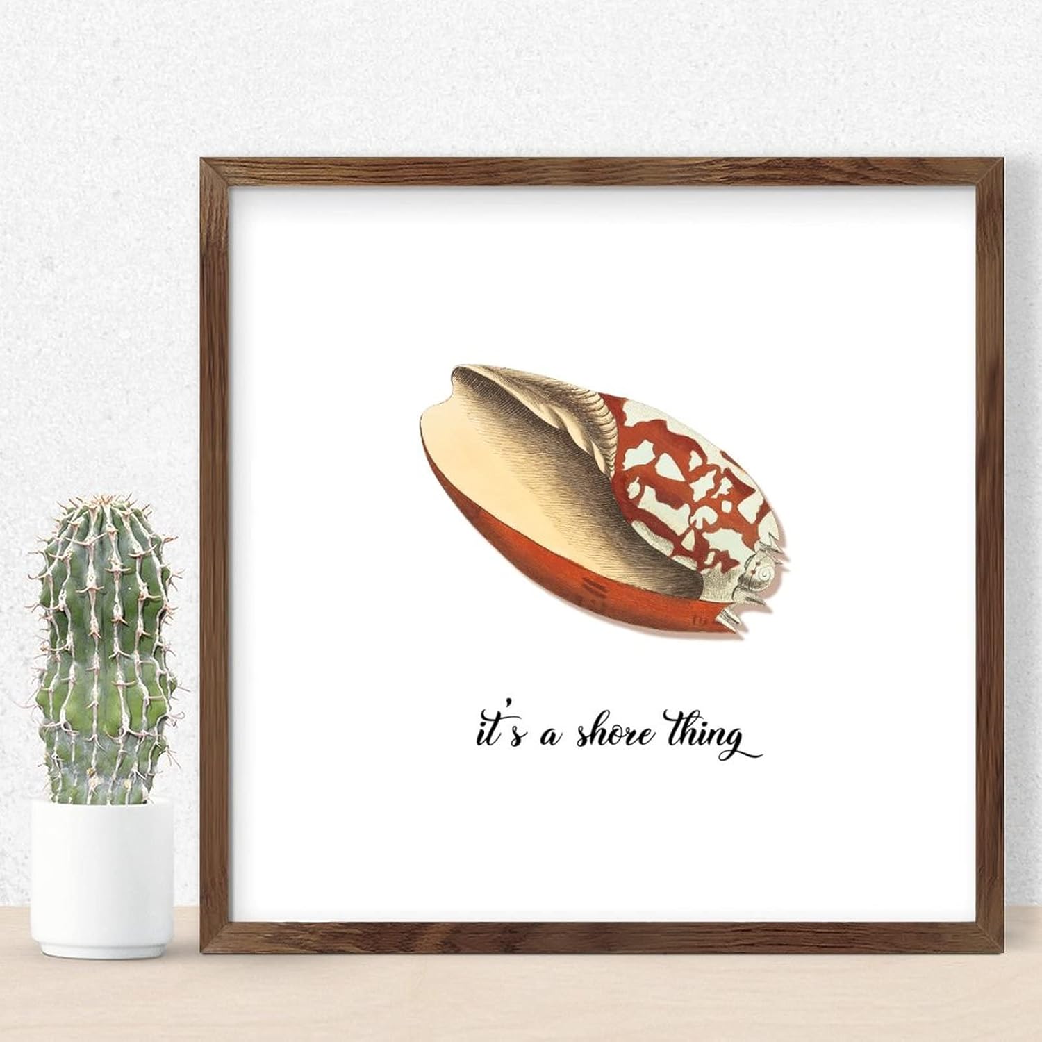 Rustic Wood Sea Snail Wall Sign 12x12in