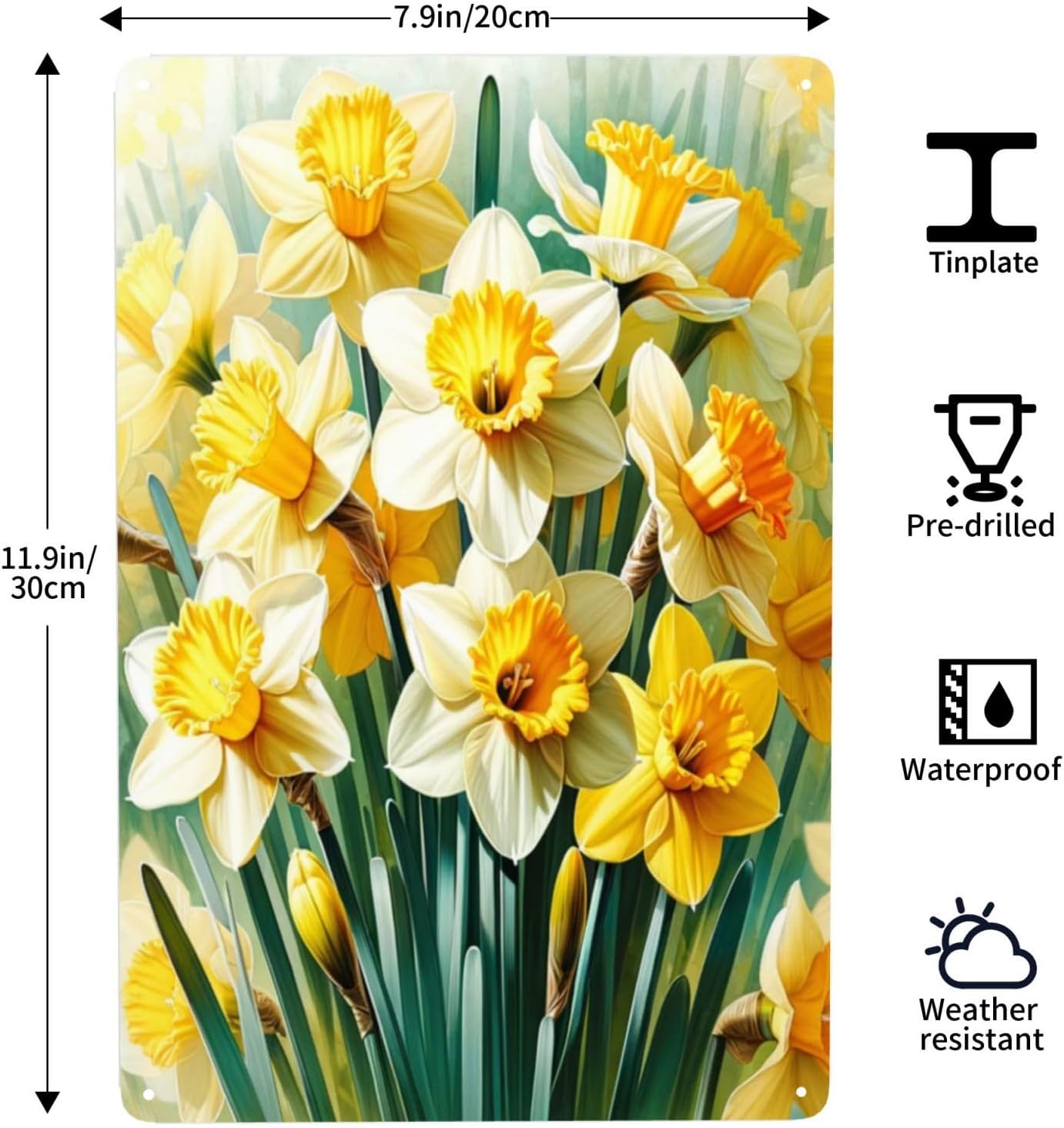 Bright Daffodil Blossoms Metal Wall Art Sign