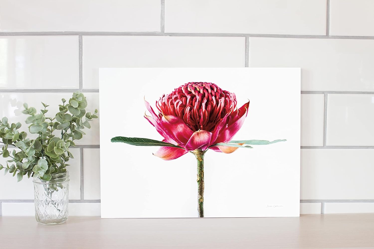 Waratah Flower Wood Plaque 12x16 Wall Decor