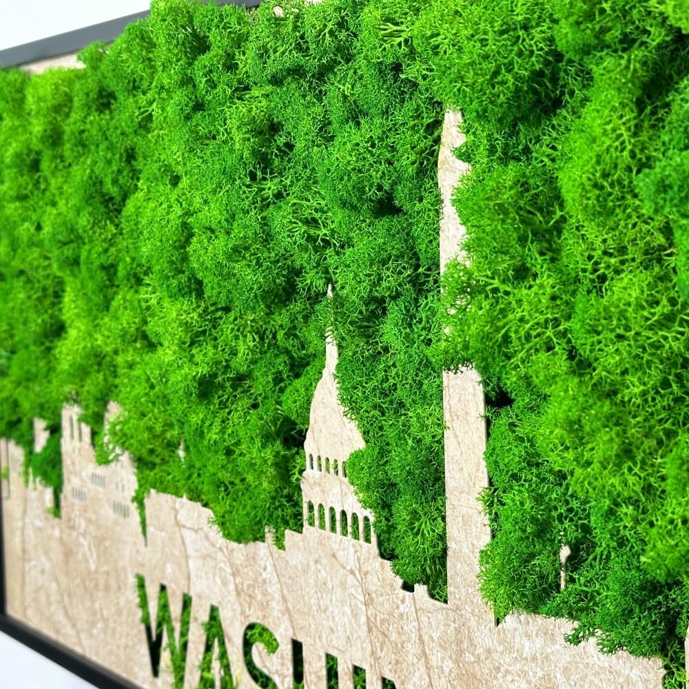 ETICIAN Moss City Wall Art Decor Sign