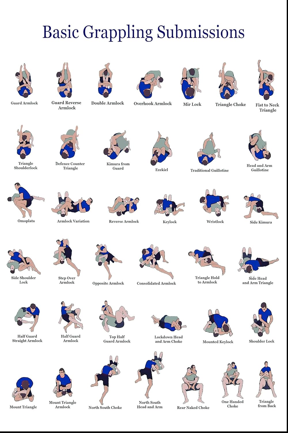 HTVDSAFV Basic Grappling Submissions Instructional Poster